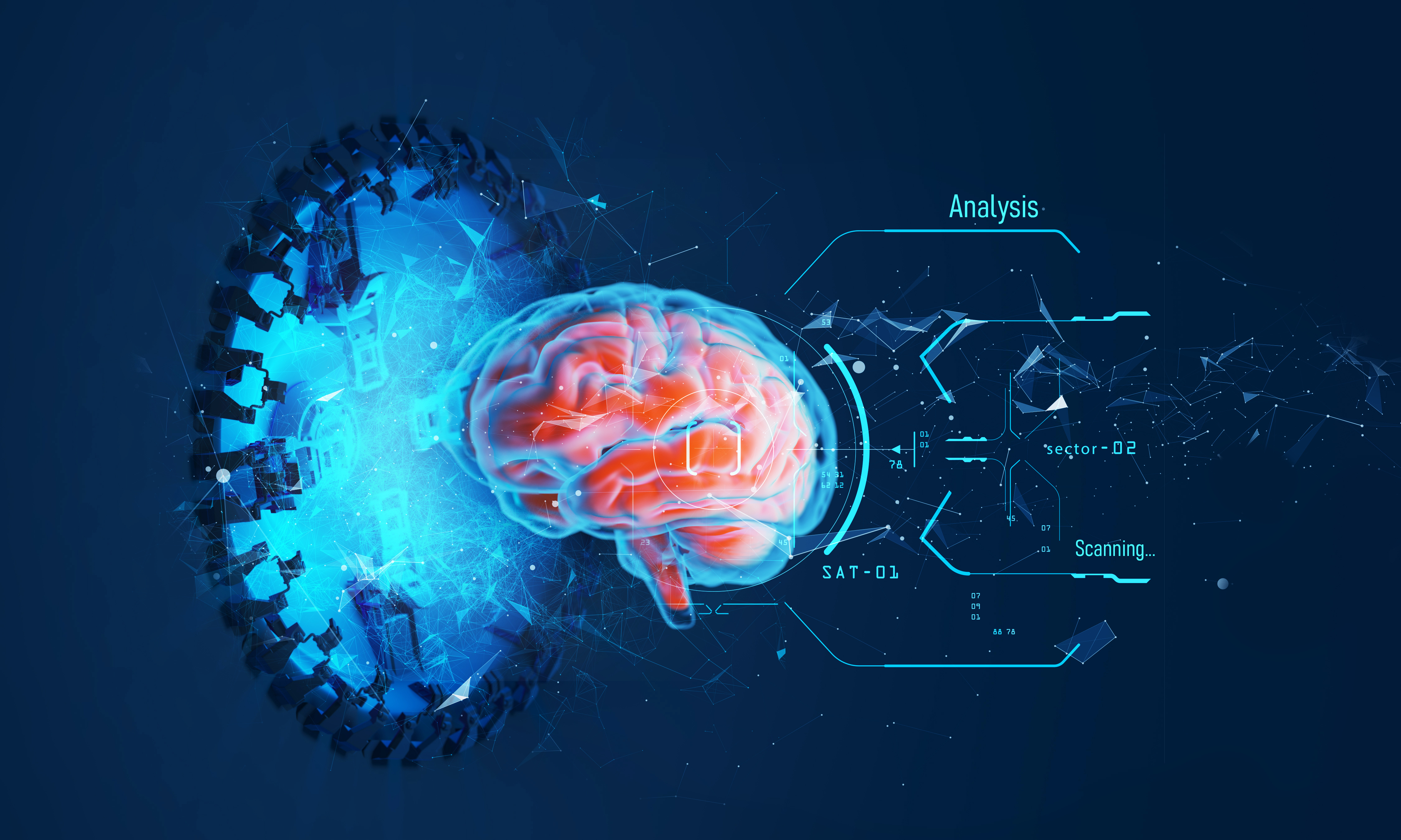 Brain scan image